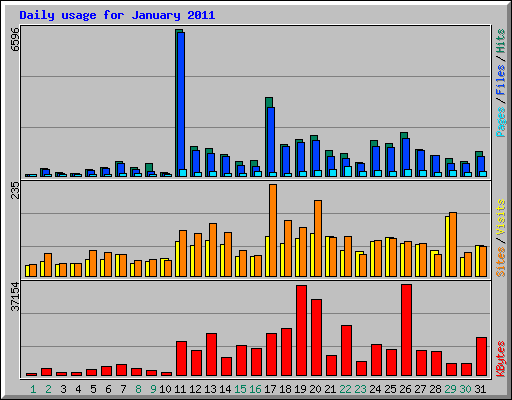 Daily usage for January 2011